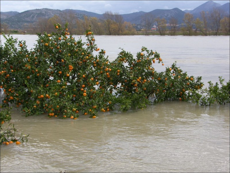 Poplava u Metkovicu (12)